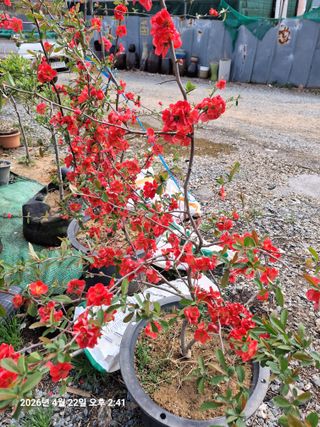 김석현님의 자유주제 · 자유게시판 작성글 사진