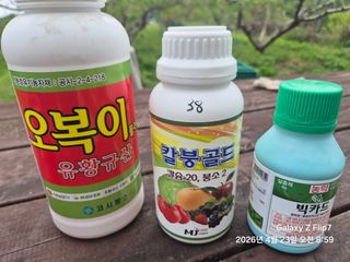 동우농장(김대욱)님의 복숭아 · 자유게시판 작성글 사진