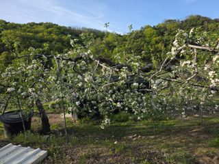 김재현님의 자유주제 · 자유게시판 작성글 사진