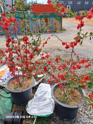 김석현님의 자유주제 · 자유게시판 작성글 사진