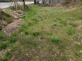 백형석님의 자유주제 · 자유게시판 작성글 사진