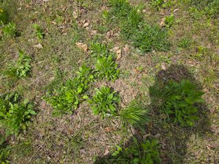 백형석님의 자유주제 · 자유게시판 작성글 사진