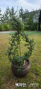 팜모닝 자유주제·사진전 게시글 이미지