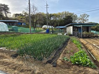 Kns4324님의 자유주제 · 자유게시판 작성글 사진