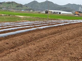 두릅나무5933님의 자유주제 · 자유게시판 작성글 사진