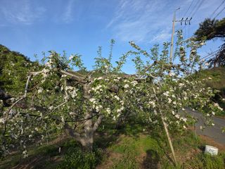 김재현님의 자유주제 · 자유게시판 작성글 사진