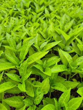 김영진(전남영광)님의 자유주제 · 자유게시판 작성글 사진