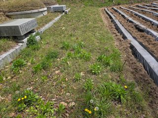백형석님의 자유주제 · 자유게시판 작성글 사진