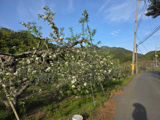 김재현님의 자유주제 · 자유게시판 작성글 사진