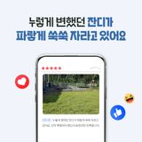 누보농장님의 자유주제·자유게시판 작성글 사진