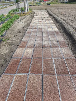 옥천서화농님의 자유주제 · 자유게시판 작성글 사진