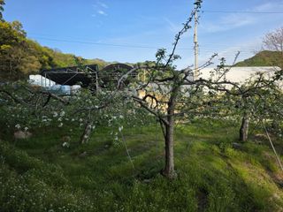 김재현님의 자유주제 · 자유게시판 작성글 사진