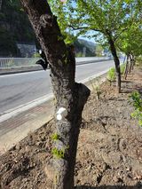 김용대님의 자유주제·자유게시판 작성글 사진