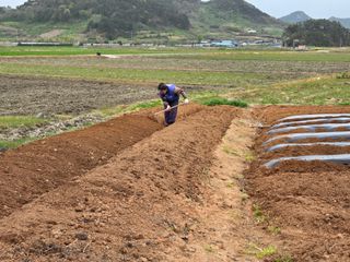 두릅나무5933님의 자유주제 · 자유게시판 작성글 사진
