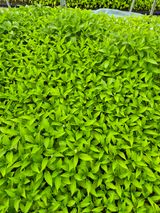 김영진(전남영광)님의 자유주제·자유게시판 작성글 사진