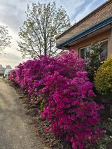 Kns4324님의 자유주제·자유게시판 작성글 사진