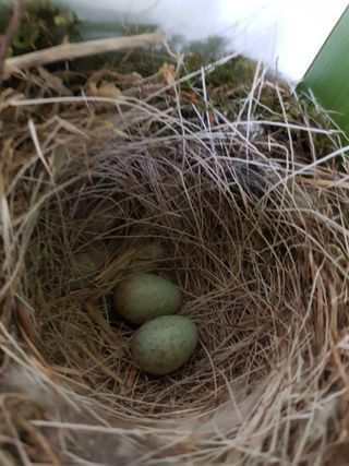 의성,군위 나상덕님의 자유주제 · 자유게시판 작성글 사진