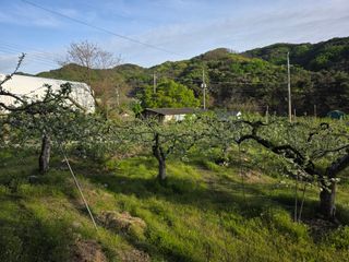 김재현님의 자유주제 · 자유게시판 작성글 사진