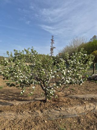Kns4324님의 자유주제 · 자유게시판 작성글 사진
