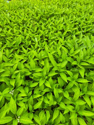 김영진(전남영광)님의 자유주제 · 자유게시판 작성글 사진