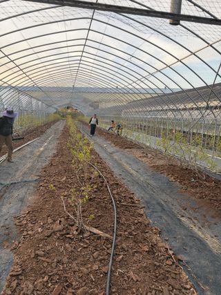 허주회님의 자유주제 · 자유게시판 작성글 사진