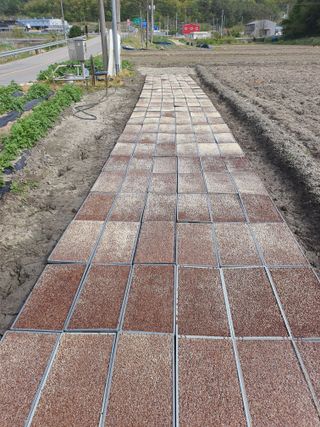 옥천서화농님의 자유주제 · 자유게시판 작성글 사진