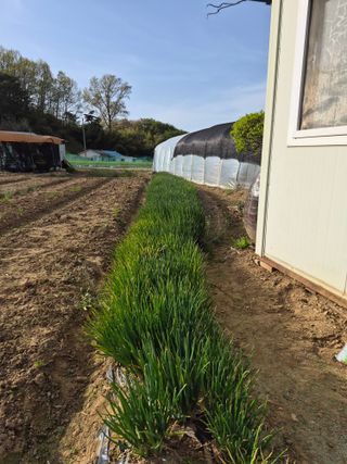 Kns4324님의 자유주제 · 자유게시판 작성글 사진