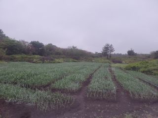 개인교수님의 자유주제 · 자유게시판 작성글 사진