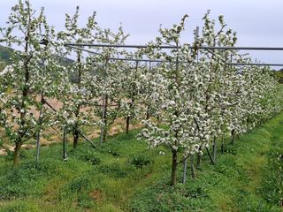 MSG0074님의 자유주제 · 자유게시판 작성글 사진