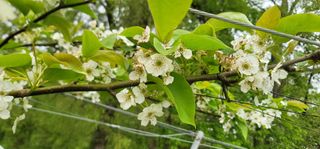 장재농원 최재석님의 자유주제 · 자유게시판 작성글 사진