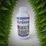 팜모닝 양파·자유게시판 게시글 이미지