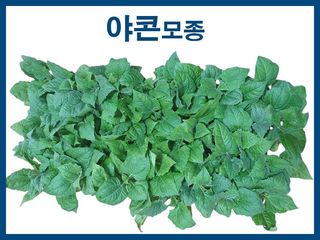 안산제일농약사님의 작성글 사진
