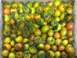 농부손녀님의 작성글 사진