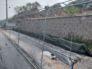 이박농장님의 자유주제·자유게시판 작성글 사진