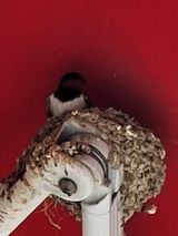 MSG0074님의 자유주제·자유게시판 작성글 사진