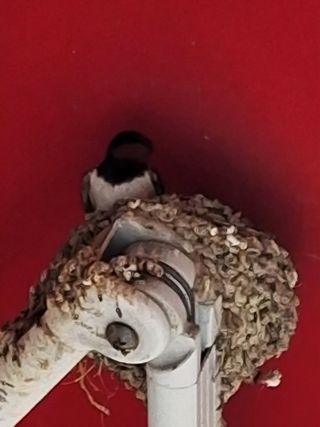 MSG0074님의 자유주제 · 자유게시판 작성글 사진