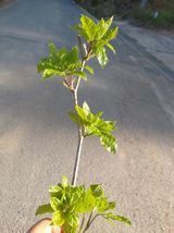 별빛농장지기님의 자유주제·자유게시판 작성글 사진