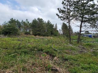 개인교수님의 자유주제 · 자유게시판 작성글 사진