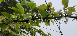 장재농원 최재석님의 자유주제 · 자유게시판 작성글 사진