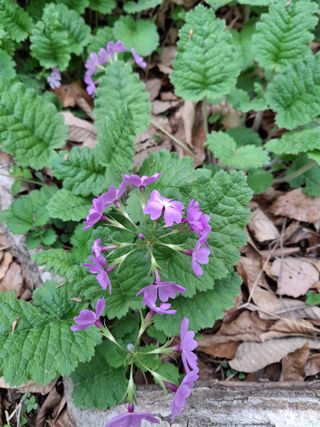 MSG0074님의 자유주제 · 자유게시판 작성글 사진