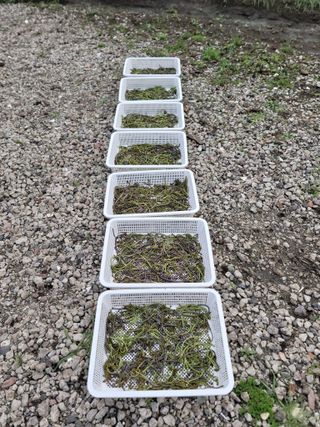 개인교수님의 자유주제 · 자유게시판 작성글 사진