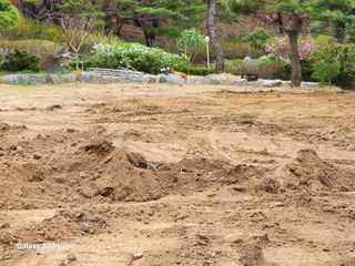 포도10314님의 자유주제 · 자유게시판 작성글 사진