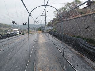 이박농장님의 자유주제 · 자유게시판 작성글 사진