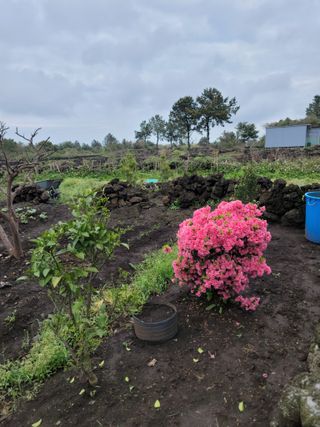 개인교수님의 자유주제 · 자유게시판 작성글 사진
