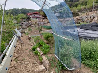 이박농장님의 자유주제 · 자유게시판 작성글 사진