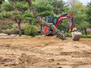 포도10314님의 자유주제 · 자유게시판 작성글 사진