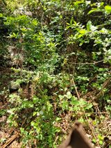 개인교수님의 자유주제·자유게시판 작성글 사진