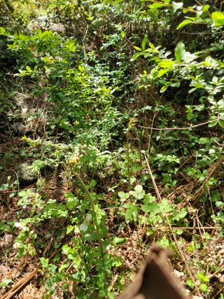 개인교수님의 자유주제 · 자유게시판 작성글 사진