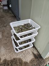 개인교수님의 자유주제·자유게시판 작성글 사진