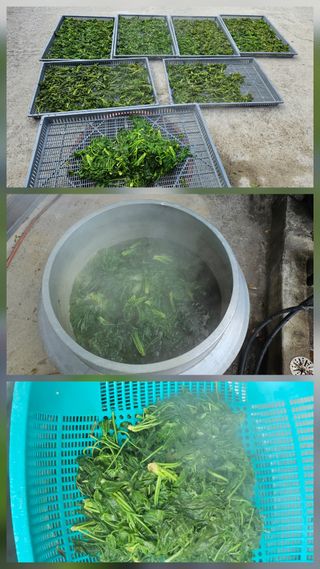 박영옥님의 자유주제 · 자유게시판 작성글 사진